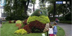 Le Supercousiflor dans le  jardin botanique de Nantes